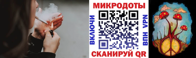 кракен ССЫЛКА  Сураж  Псилоцибиновые грибы ЛСД 