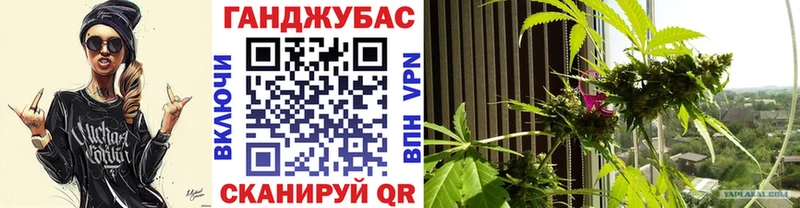 наркошоп  omg маркетплейс  Конопля марихуана  Сураж 